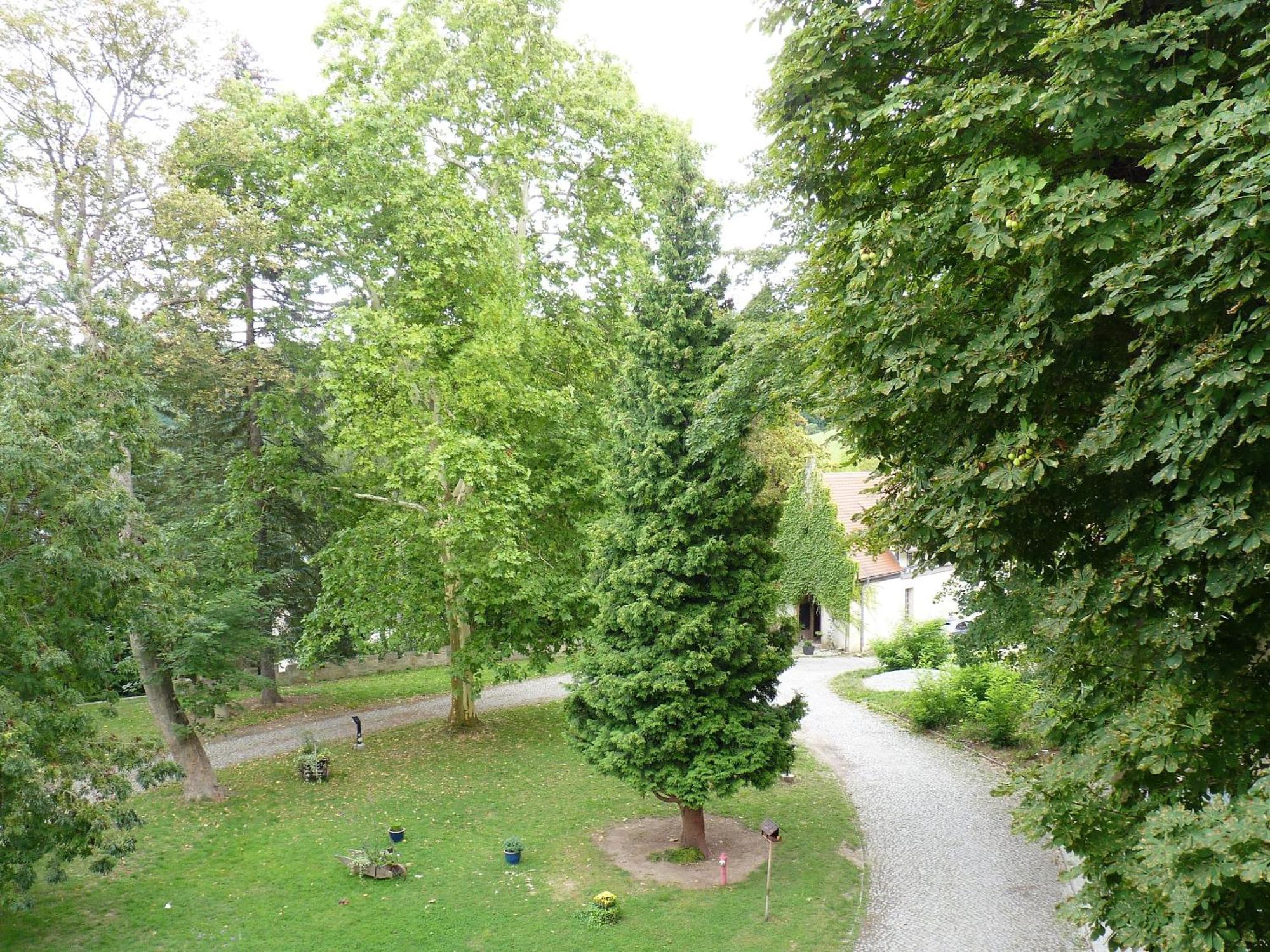 Hotel & Restaurant Schloss Weissenburg Uhlstadt-Kirchhasel Phòng bức ảnh